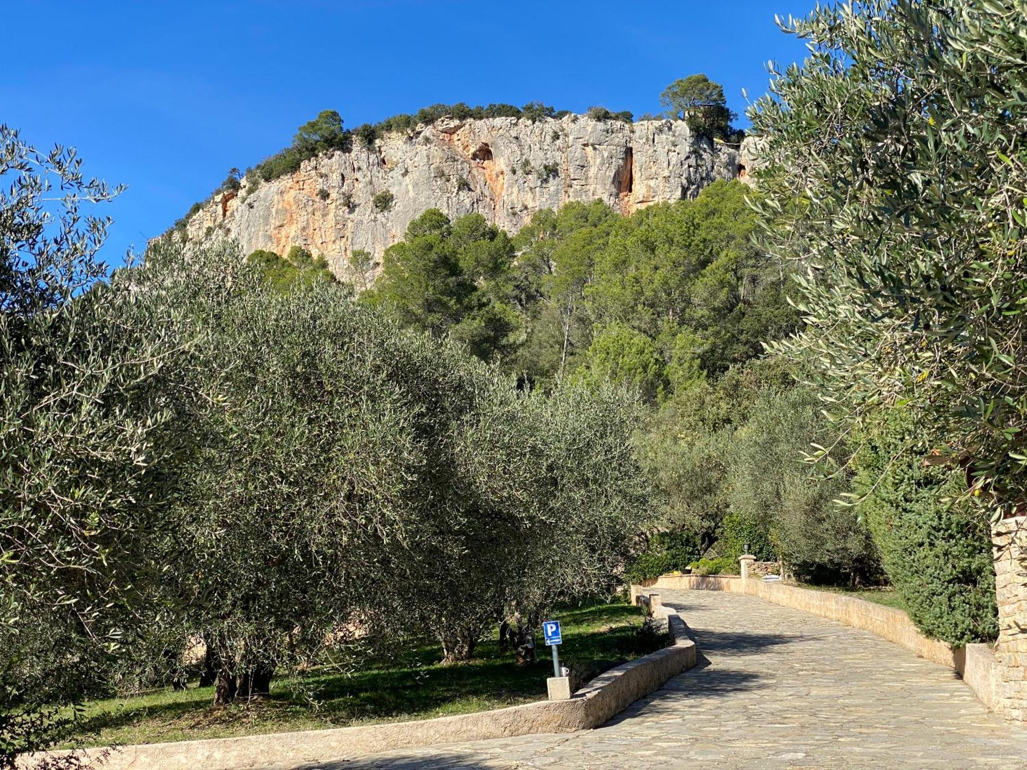 Le Mas De San Lou Cabasse Esterno foto